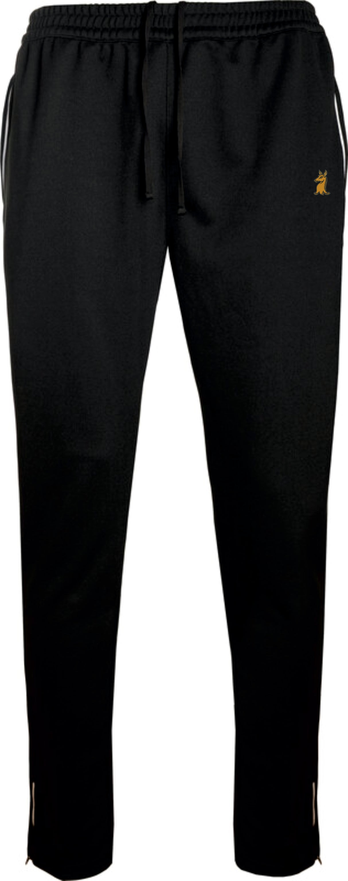 SWA Unisex Training Pants