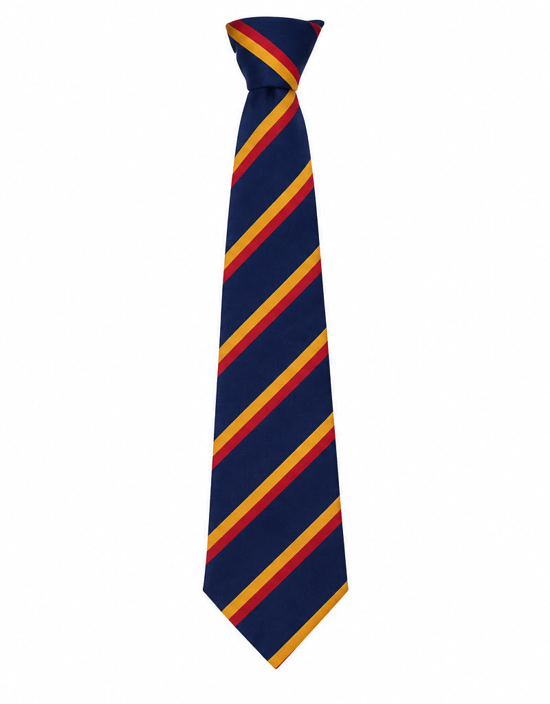 Saint John Henry Newman Year 7 - 10 Tie
