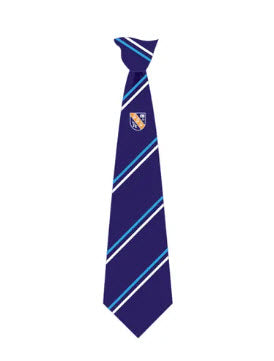 Cottenham Village College Gold House Clip on Tie