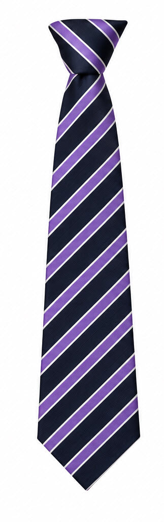 Longsands Academy Tie Clip - Austen House