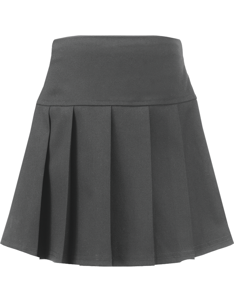 Junior Panel Full Pleated Skirt