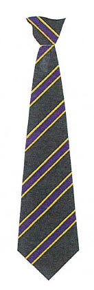 Stratton School House Tie - Purple