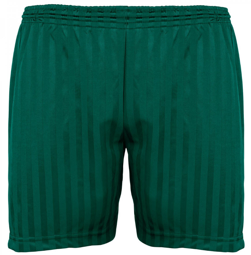 Shadow Stripe Shorts Bottle