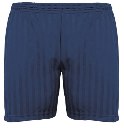 Shadow Stripe Shorts Navy