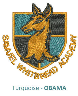 SWA House Tie - Turquoise