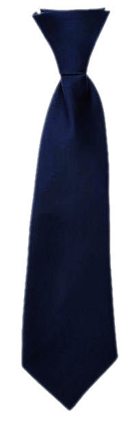 Goldington Academy Navy Tie 16 Inch