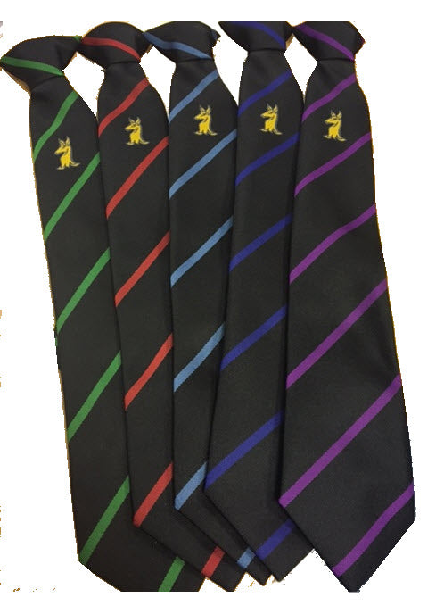 SWA House Tie - Year 9 2025/26 - Green