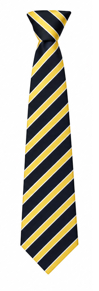 Longsands Academy 52" Tie - Hawking House