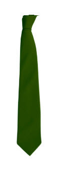 Downham Market Academy Green Tie