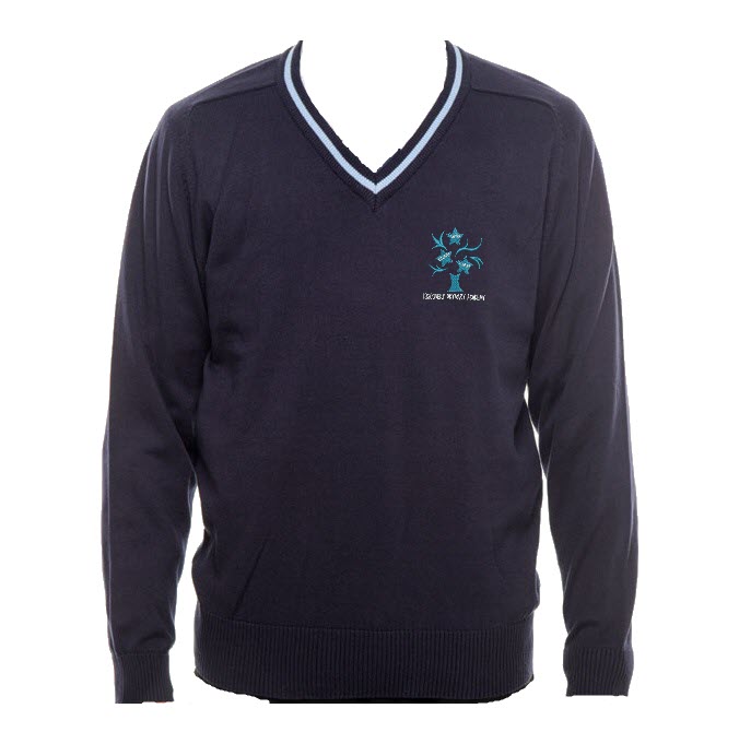Discovery Primary Academy Jumper