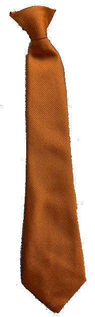 Downham Market Academy Orange Tie