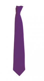 Downham Market Academy Purple Tie