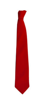 Downham Market Academy Red Tie