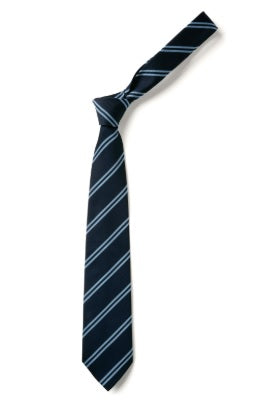 Discovery Primary Academy Navy and Light Blue Tie 45 inch