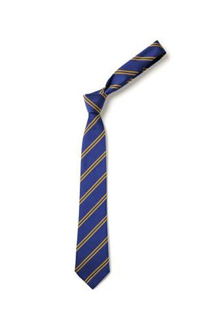 Thurleigh Primary School KS2 Tie