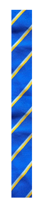 Whitehall School Tie