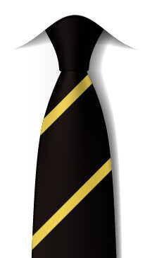 Sir Harry Smith Community College Tie Yellow - Curie House