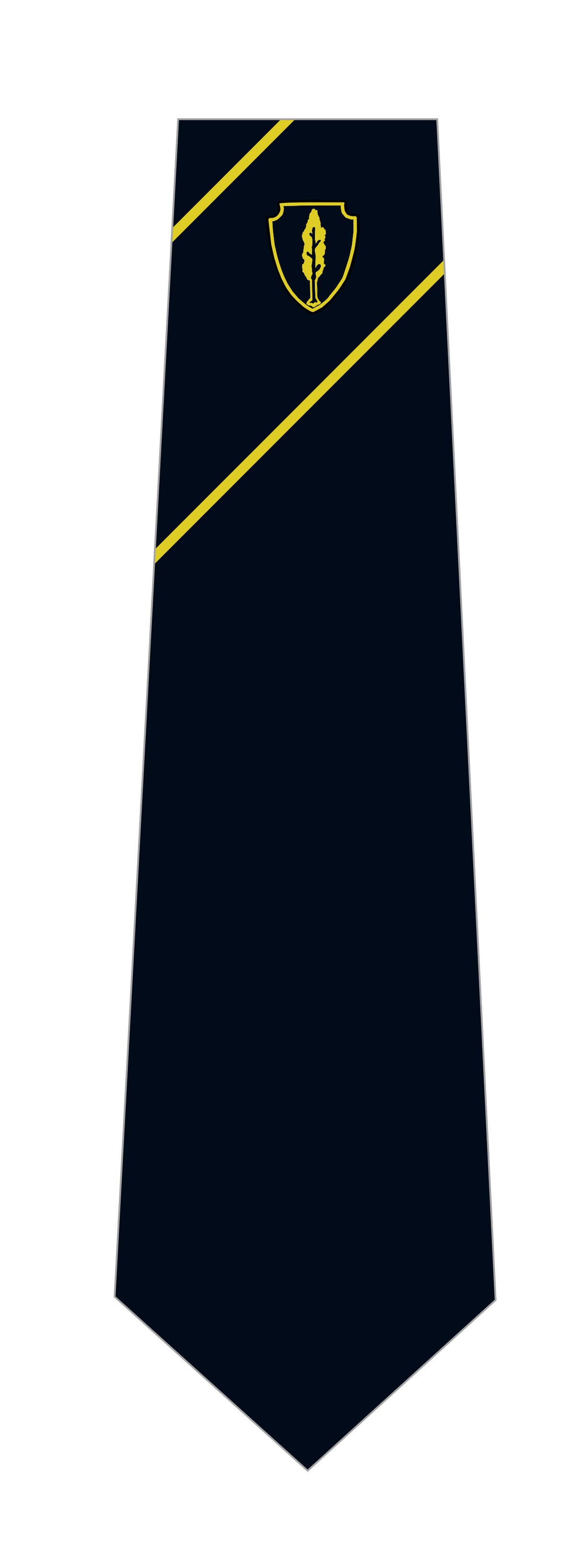 Manor Drive Secondary Academy 52in Tie Yellow House