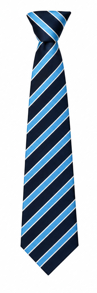 Longsands Academy 52" Tie - Darwin House