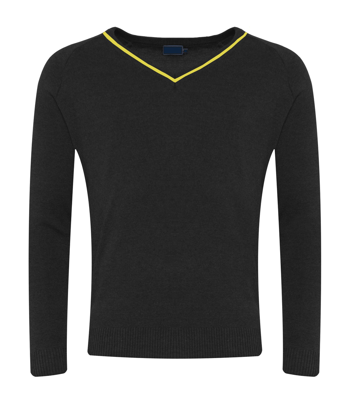 Marlborough Science Academy Special Stripe Jumper