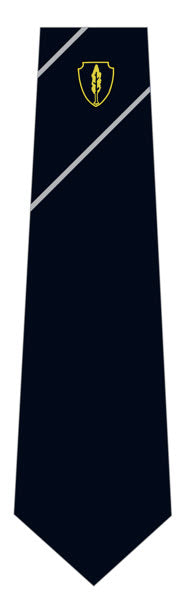 Manor Drive Secondary Academy 52in Tie Silver House
