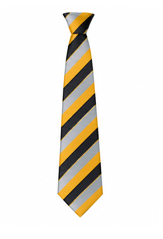 Thomas Clarkson Academy Tie - Pankhurst