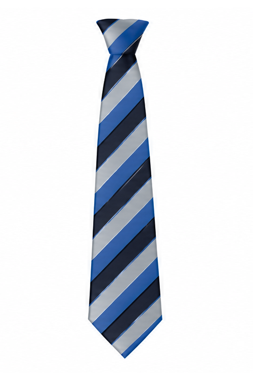 Thomas Clarkson Academy Tie - Madiba