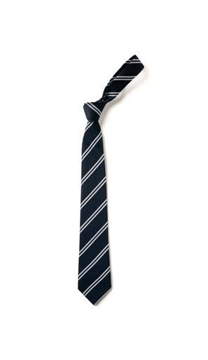 Castle Newnham Secondary Tie 52 in NEW for 2025