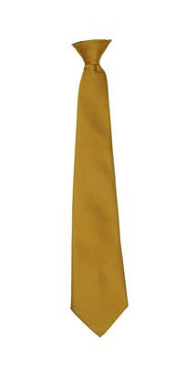 Nova Primary Academy Clip On Tie 14 Inch